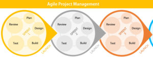 Read more about the article Building an Agile Development Team for Quick Results